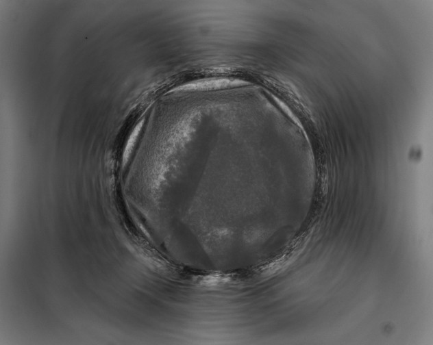 X0000097890366200804041316