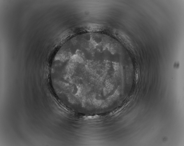 X0000097890367200804041316