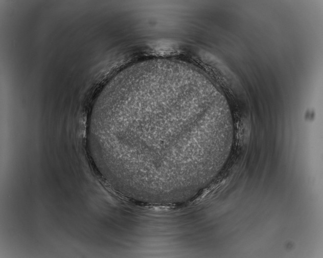 X0000097890368200804041316