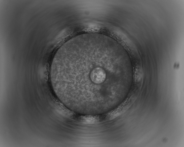 X0000097890370200804041316