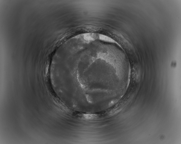 X0000097890371200804041316