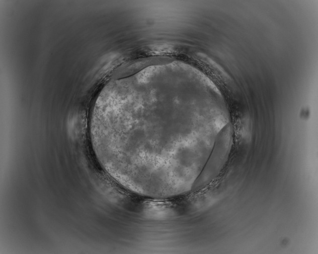 X0000097890372200804041316