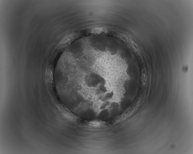 X0000097890375200804041316