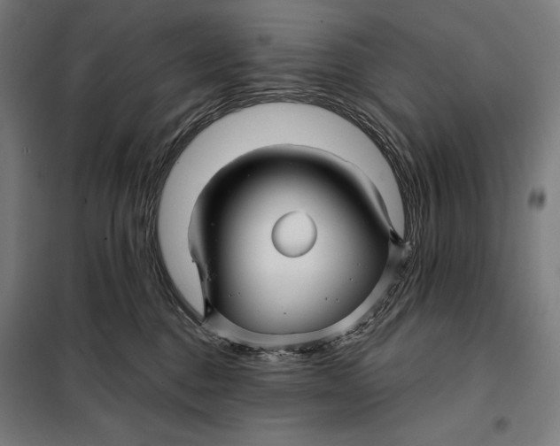 X0000097890376200804041316