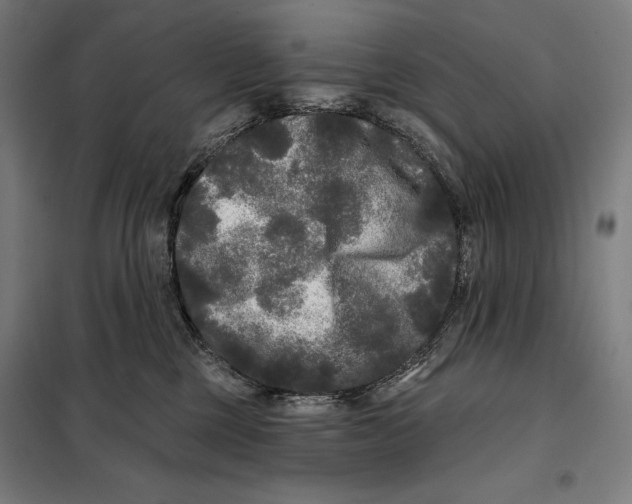 X0000097890377200804041316