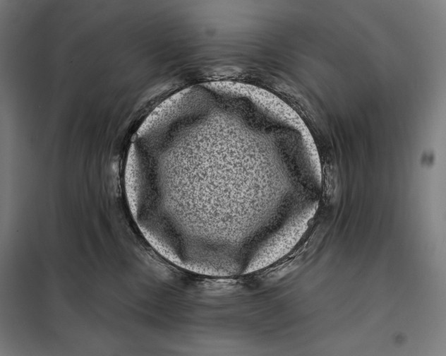 X0000097890378200804041316