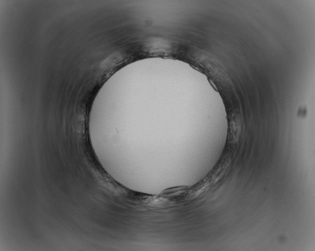 X0000097890379200804041316