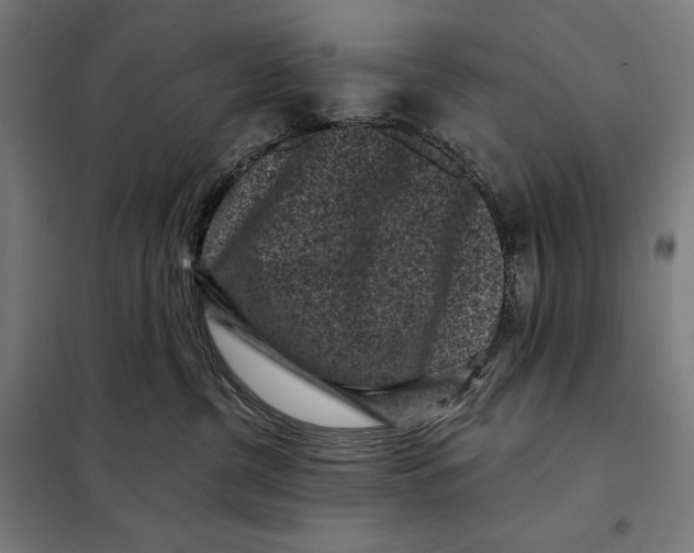 X0000097890380200804041316