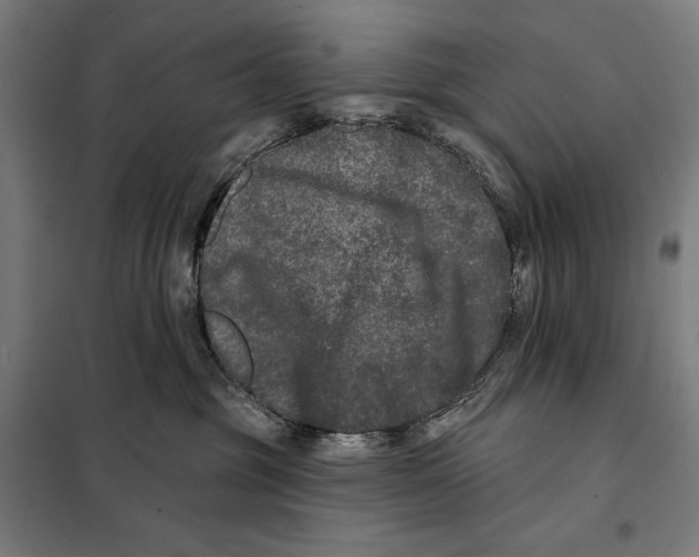 X0000097890381200804041316