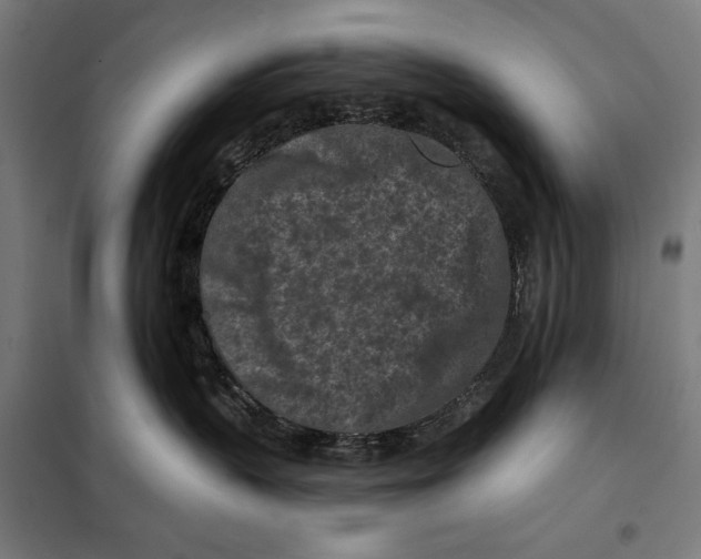 X0000097890383200804041316