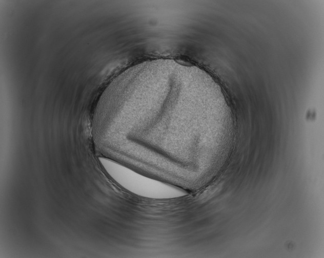 X0000097890384200804041316