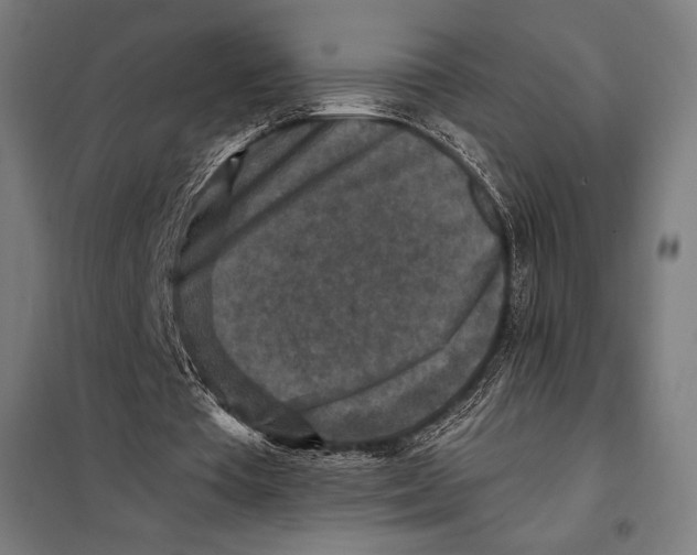 X0000097890385200804041315