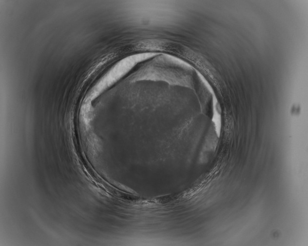 X0000097890386200804041315