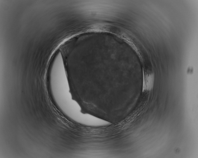 X0000097890387200804041315