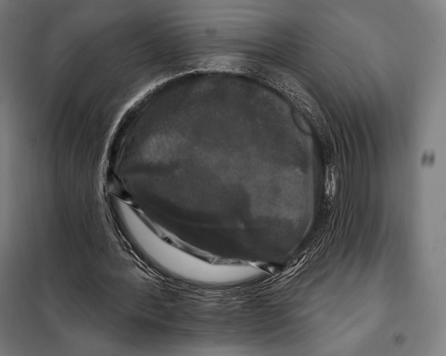 X0000097890388200804041315