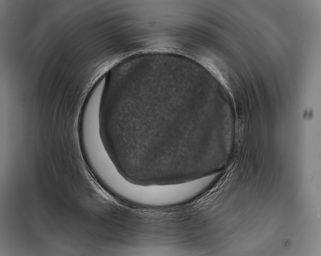 X0000097890389200804041315