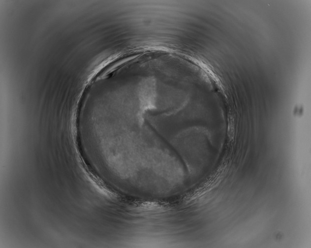 X0000097890390200804041315