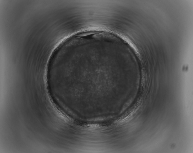 X0000097890391200804041315