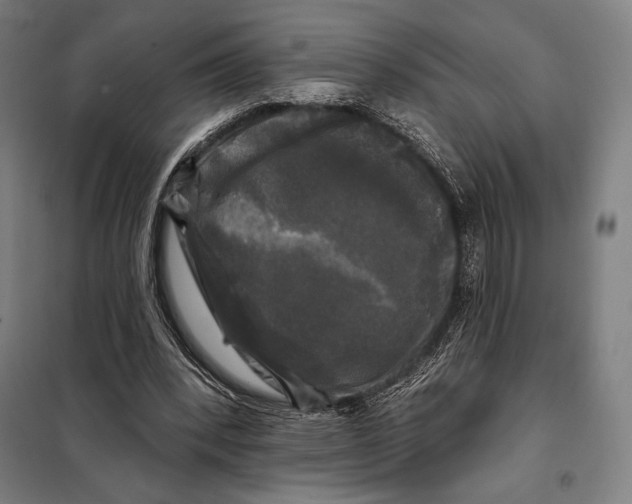 X0000097890392200804041315