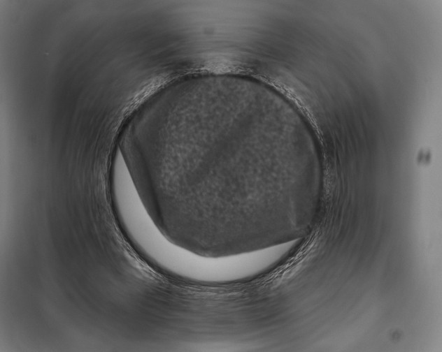 X0000097890393200804041315