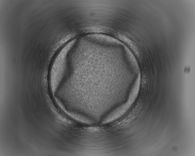 X0000097890394200804041315