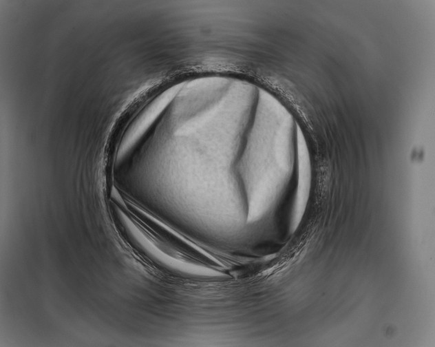 X0000097890395200804041315