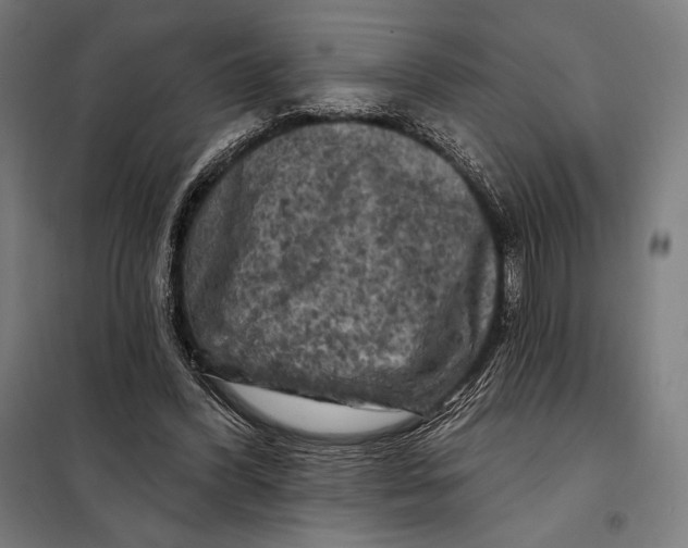 X0000097890396200804041315