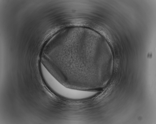 X0000097890397200804041315