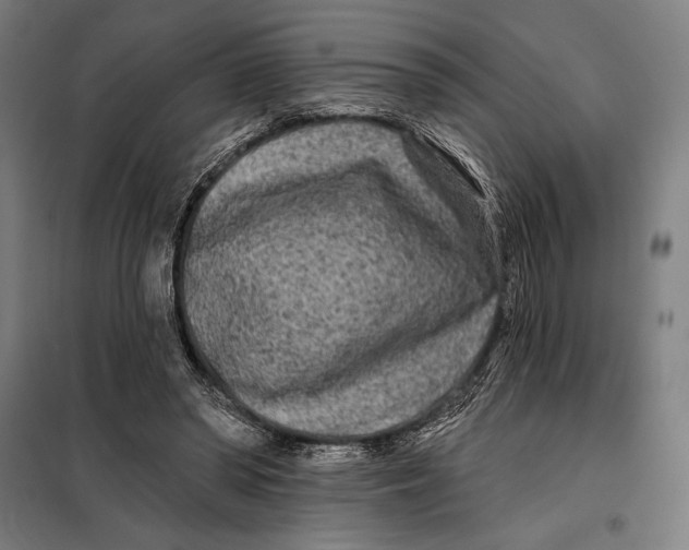 X0000097890398200804041315