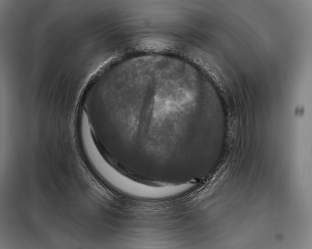 X0000097890399200804041315