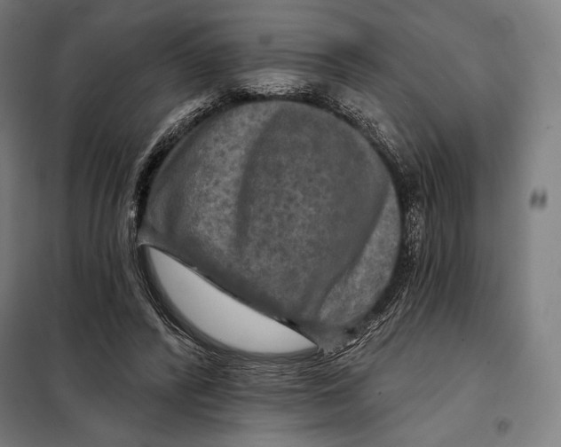 X0000097890400200804041315