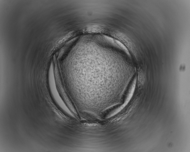 X0000097890401200804041315