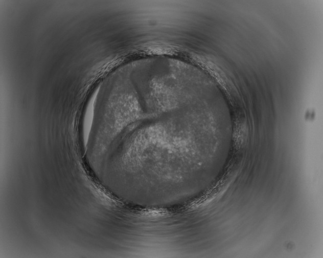 X0000097890402200804041315