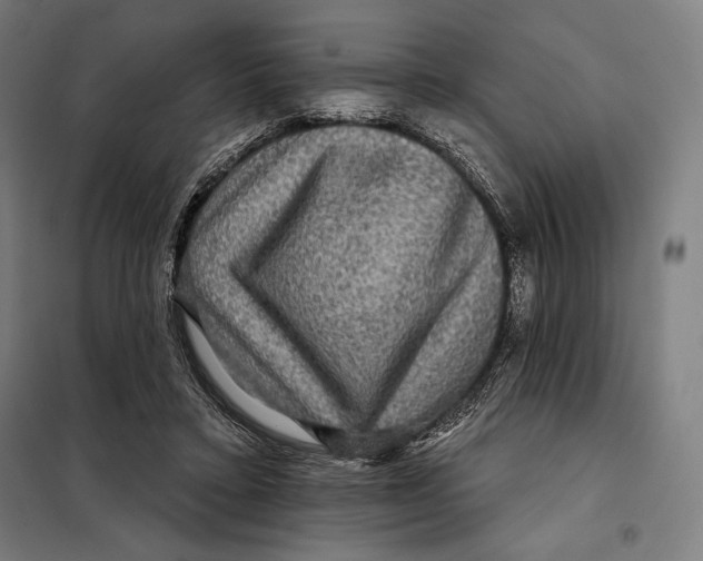 X0000097890403200804041315