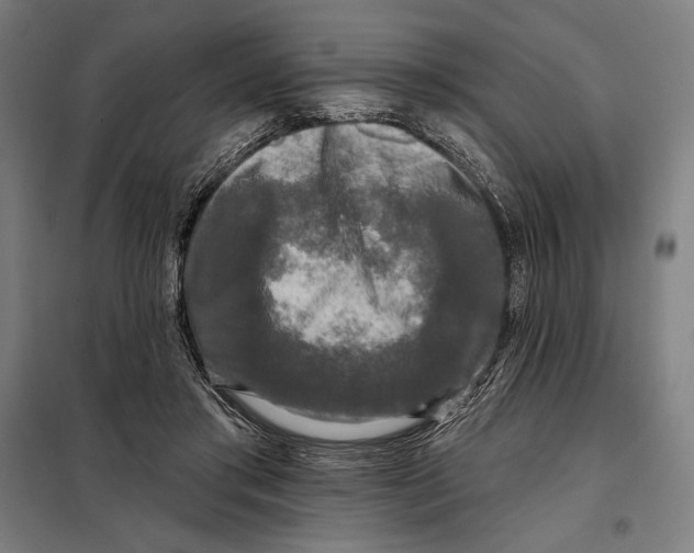 X0000097890405200804041315