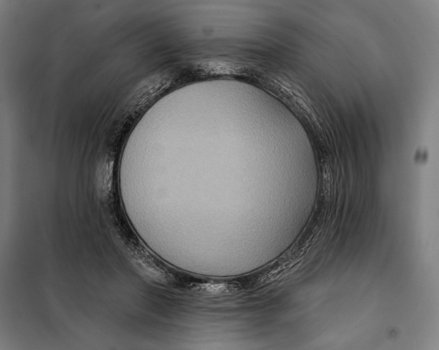 X0000097890406200804041315