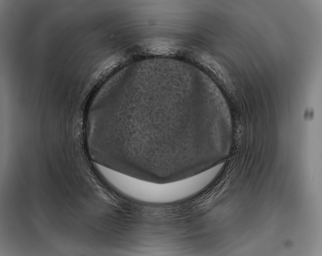 X0000097890407200804041315