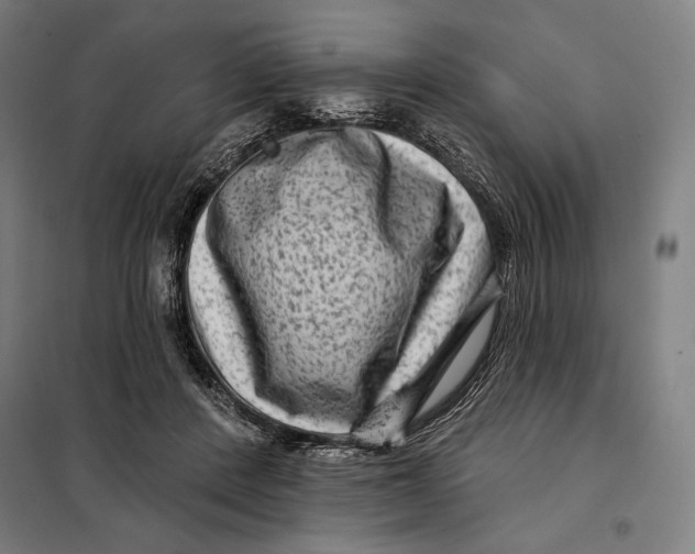 X0000097890408200804041315