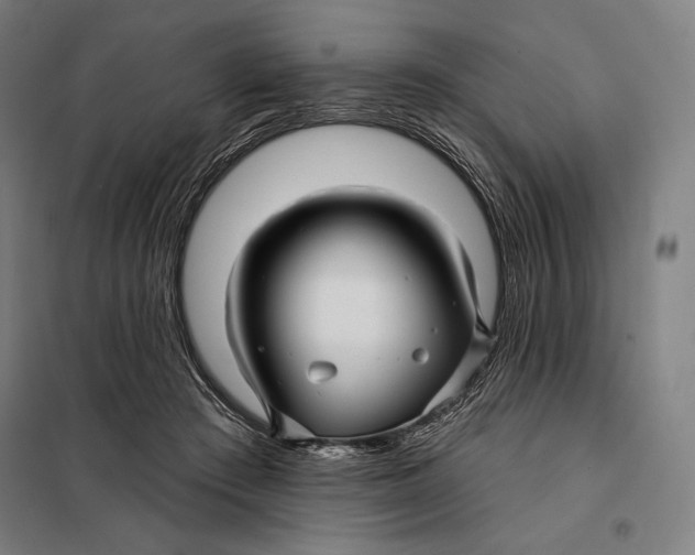 X0000097890409200804041315