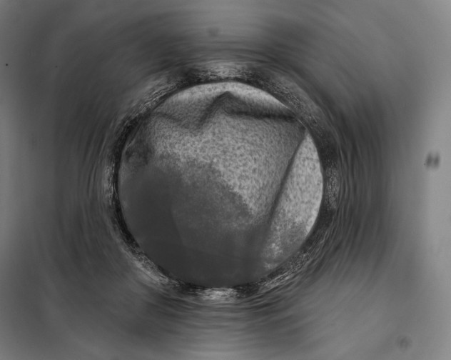 X0000097890410200804041315