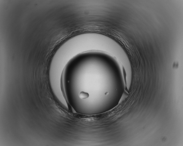 X0000097890411200804041315