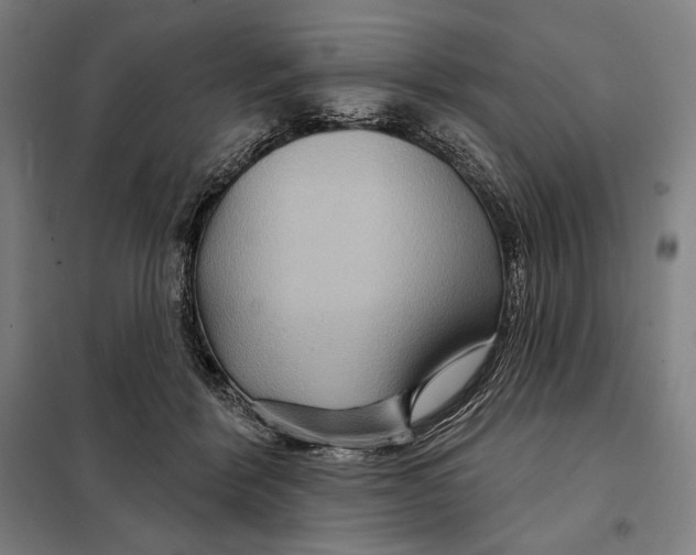 X0000097890412200804041315