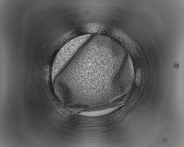 X0000097890413200804041315