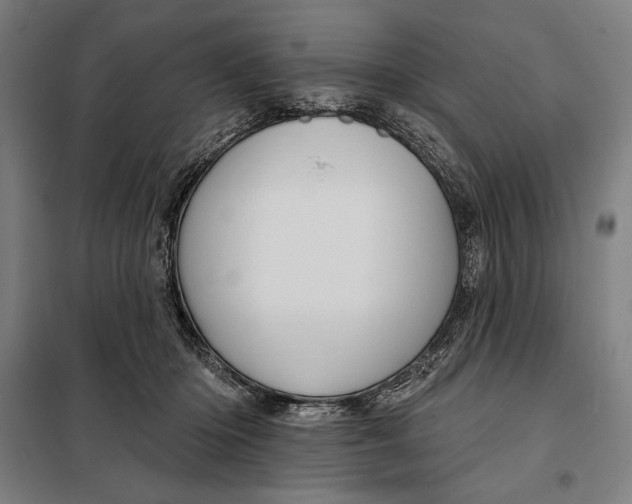 X0000097890414200804041315