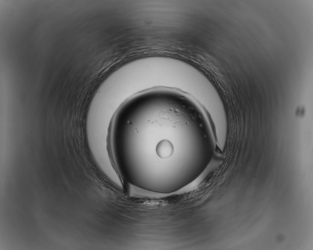 X0000097890415200804041315