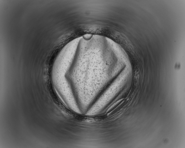 X0000097890416200804041315