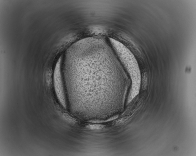 X0000097890417200804041315