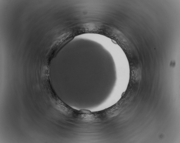 X0000097890419200804041315