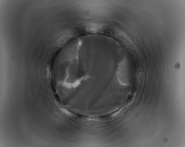 X0000097890420200804041315