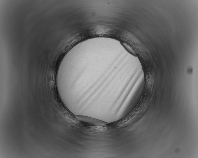 X0000097890421200804041315